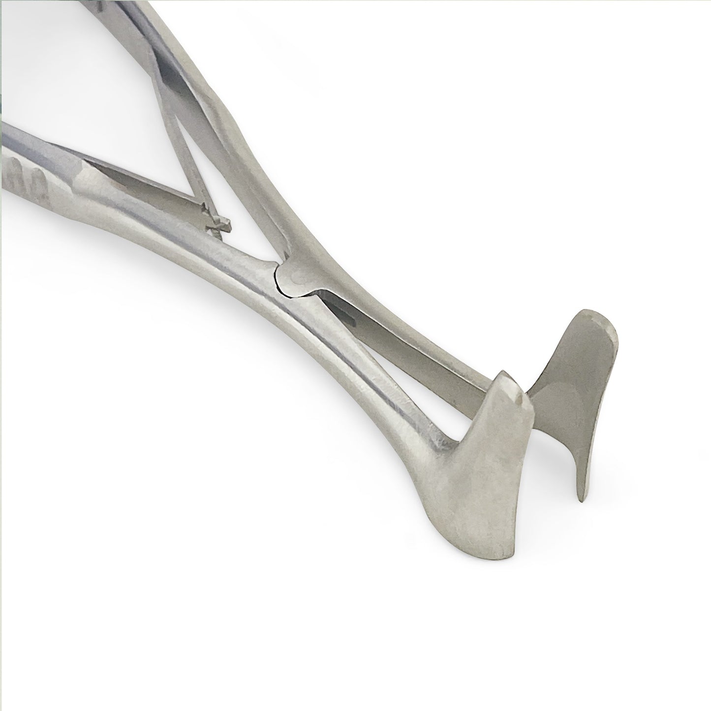 Vienna Nasal Speculum ENT Instruments, Premium Quality Stainless Steel for Adult, Large