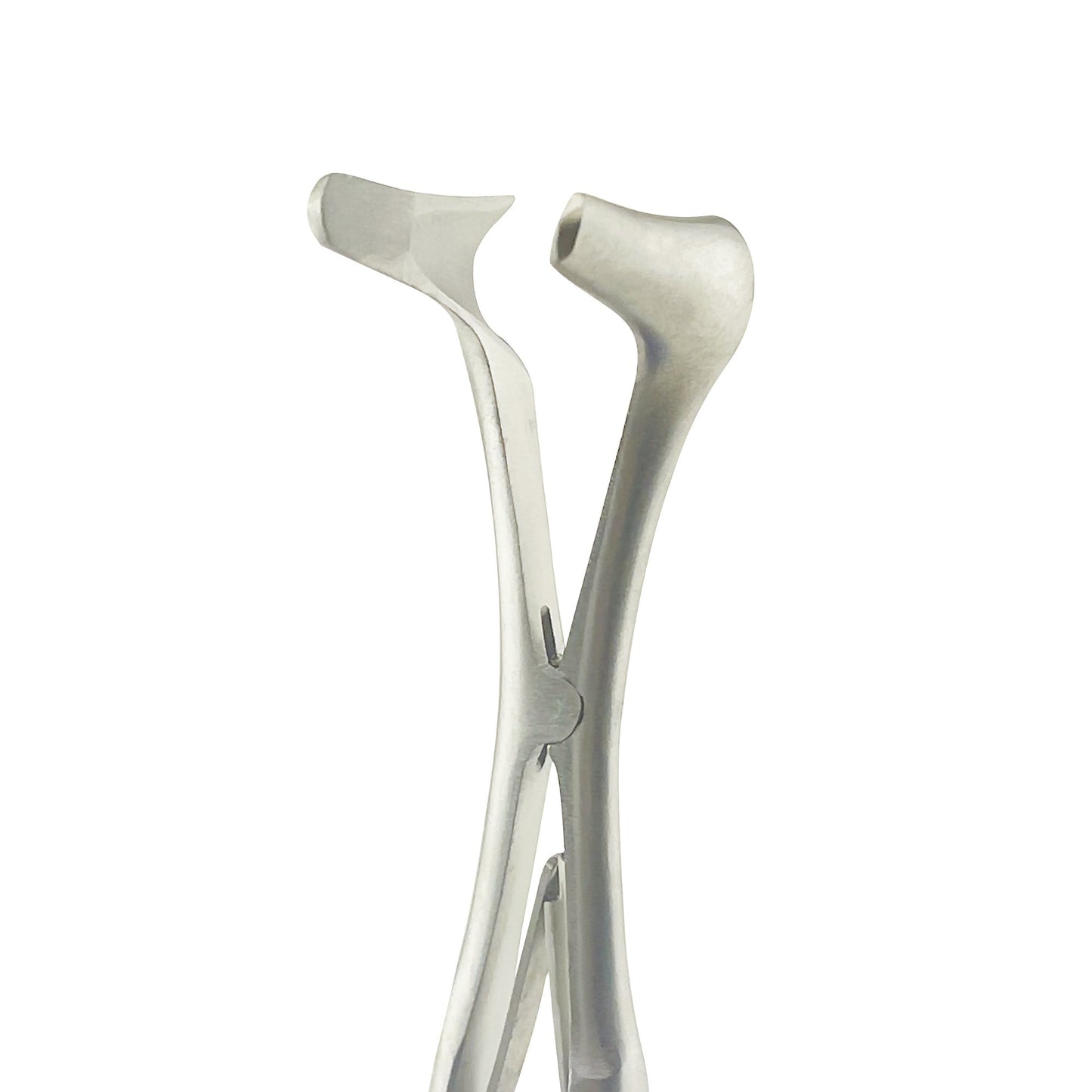 Vienna Nasal Speculum ENT Instruments, Premium Quality Stainless Steel for Adult, Large