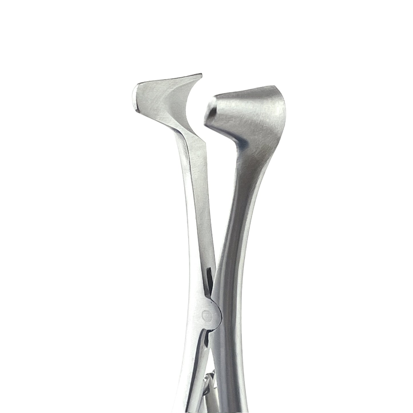 Vienna Nasal Speculum ENT Instruments, Premium Quality Stainless Steel for Infant, Small